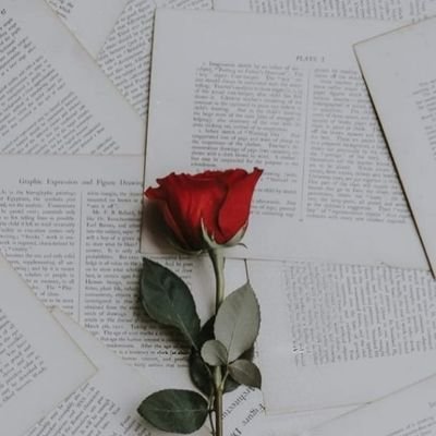 Saba_Yasein's profile picture. 🌸