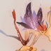 massa (@massa93478784) Twitter profile photo massa (@massa93478784) Twitter profile photo