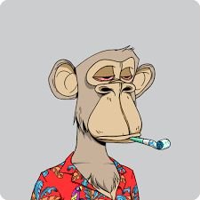 george710212's profile picture. What happens in the crypto world often reflects the price of gold or oil 💰📈