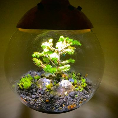 ITSecure_Kaizen's profile picture. とある製造メーカーの理系アラサー。業務改善の業務がメイン業務よりよっぽど面白い。 世の中の優良コンテンツのおかげで情報処理安全確保支援士試験合格🌸 次は何を学ぼうか？勉強好きは仲良くしてね😉