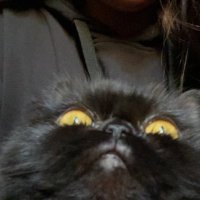 سامي.. (@samehyfghetto) 's Twitter Profile