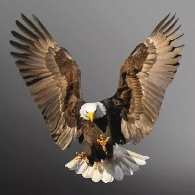 FarooqYousafzay's profile picture. 