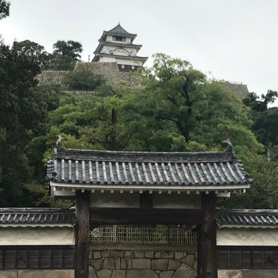 ykmr_castle28's profile picture. 