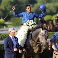 Luis Saez (@luissaezpty1) 's Twitter Profile