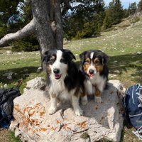 MAZZELLA WLASSOW AUDE (@audewlassow) 's Twitter Profile