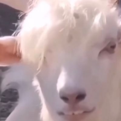 sharo_9Q's profile picture. Twitter初心者です