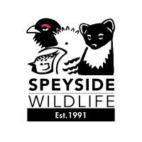Speyside Wildlife(@SpeyWildlife) 's Twitter Profile Photo