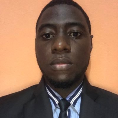 software engineering student