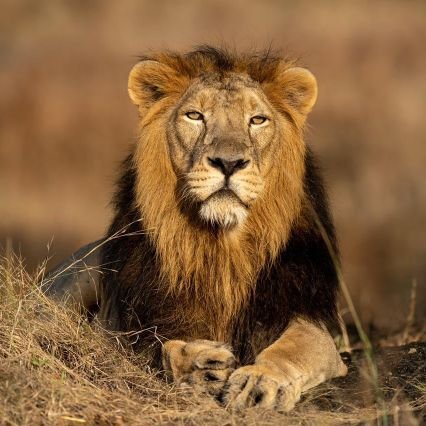 rajmish71's profile picture. Supply Chain, Logistics, Sourcing & Exim Professional, Foodie, Traveller. Husband & Father (02 Sons).Make own path won’t follow others