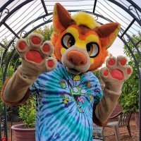Candycorn(@Candycorn_Wusky) 's Twitter Profile Photo