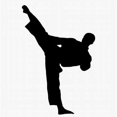 Love animals more than people. 🌊🌊🌊. #Trump is a career criminal. #browns fan. 4th Degree Black Belt Kenpo 🥋 🥋24-3 in my cage fights. Blue belt jujitsu