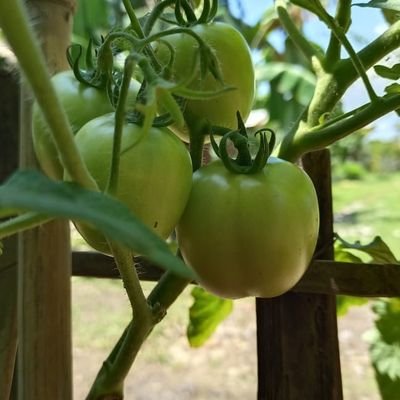 ethangili_'s profile picture. Tiap hari ngetik terus, sampe jari keriting