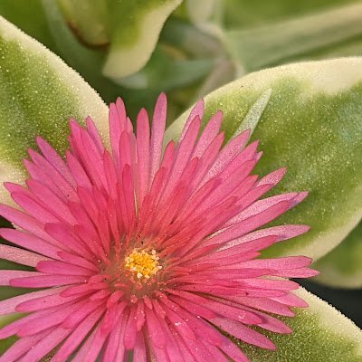 CoraMart5268's profile picture. 