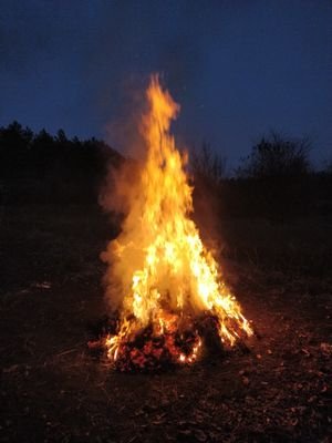 rktsml's profile picture. Travel