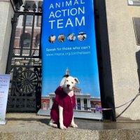 MSPCA Advocacy (@mspcaadvocacy) 's Twitter Profile Photo MSPCA Advocacy (@mspcaadvocacy) 's Twitter Profile Photo