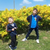Fatih Akçay (@sosyal_fatih) 's Twitter Profile