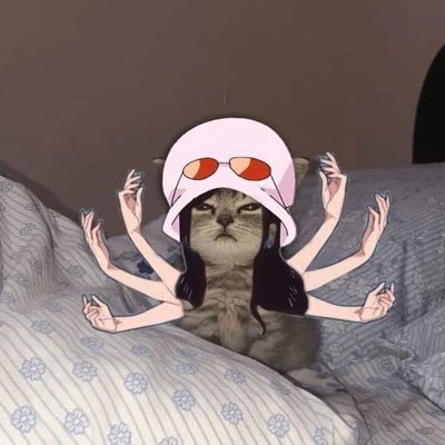 nekorobin_'s profile picture. olá o que queres?