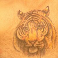 Chas (@jinxy101) 's Twitter Profile Photo