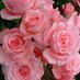 florge (@60marigemma) Twitter profile photo florge (@60marigemma) Twitter profile photo