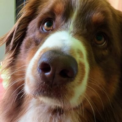 yaelrouvrais's profile picture. +900K sur tik tok 🚀