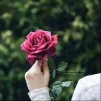 الشماليه (@mk3re) 's Twitter Profile Photo الشماليه (@mk3re) 's Twitter Profile Photo