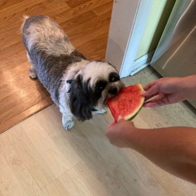 cmichnc's profile picture. Conservative, Proudly ProLife, EndSexTrafficking, Save Our Children, School Choice