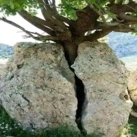 Thierry Léon HADJADJ (@hadjadjleon) 's Twitter Profile