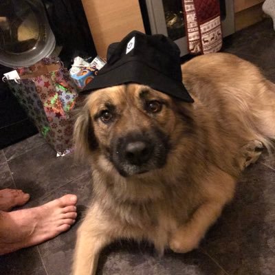 jared_jh_'s profile picture. 