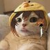 Chicken man (@kevinro29591630) Twitter profile photo Chicken man (@kevinro29591630) Twitter profile photo