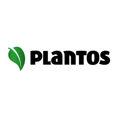 TikTok/Instagram: Plantosok     - https://t.co/Yygz82VXPh