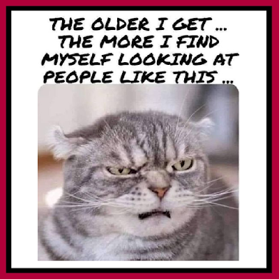 Candim9's profile picture. I say what I feel with out the BS.. Please do not attack me for my views.. I am a proud Democrat #Biden/Harris Absolutely love Bonjovi! No DMs