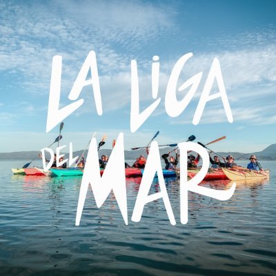 Laligadelmar Profile Picture