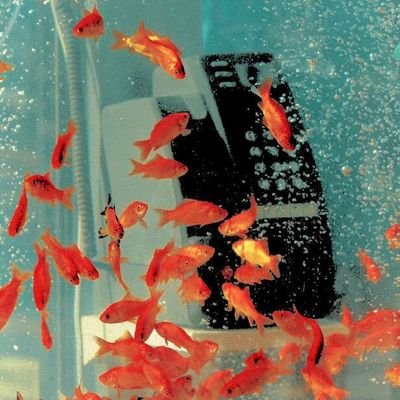 껍데기는치장할수록아름답고알맹이는꾸밀수록썩어문드러져허울만좋아보이는껍데기를보여주는것과도같은여름이다가오고있었다.추억이왜곡되기쉬운계절이다가오고있었다.