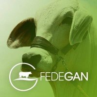 La Macarena Pasión Ganadera (@pl_macarena) 's Twitter Profile