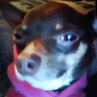 Nepabirdsfan's profile picture. Sports fan,loving life