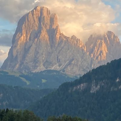 Panf57's profile picture. veneziana a Roma, mamma di due giovani ingegneri, amo la musica, l'arte e la scienza. Lavoro in MSD .