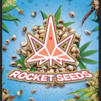 RocketSeeds(@rocket_seeds) 's Twitter Profile Photo