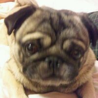 Yuki Nagai (@cometscome_phys) 's Twitter Profile Photo