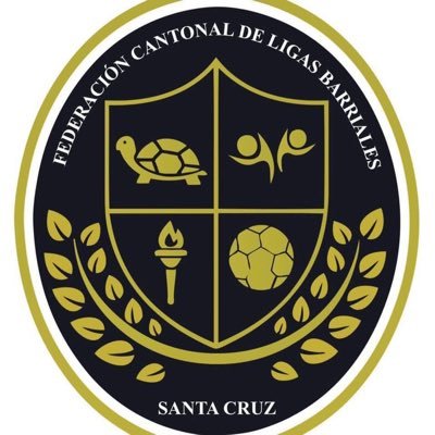 Fede Ligas Barriales Santa Cruz