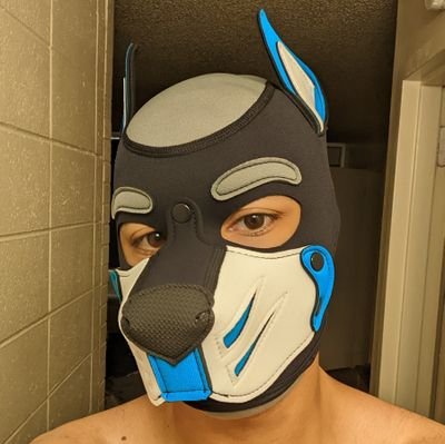 Heyo I'm Akira! 24 | He/Him | Gay | Gamer | Service Pup 🐶 | Open 💙| ⚠️NSFW(18+)⚠️| Just a shy pup from Texas trying to make more friends