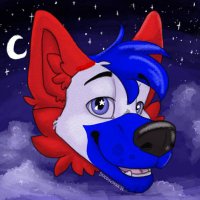 Star the wolf (starthewolf BlueSky) (@starandfriends1) 's Twitter Profile