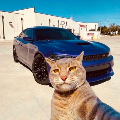 Simon_jrd15's profile picture. 