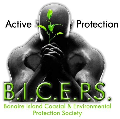BICEPSBONAIRE's profile picture. Bonaire Island Coastal & Environmental Protection Society. A non-profit organisation protecting life below & above the ocean. Please follow us.