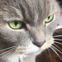 Darren (@kentament) 's Twitter Profile