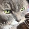 Kentament's profile picture. 