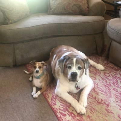 Dougstumm's profile picture.