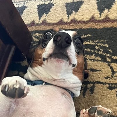 SkalaJen's profile picture. 