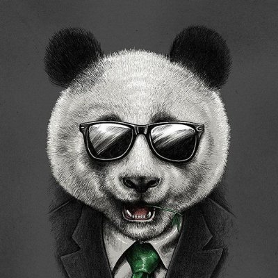 noisy_panda_ Profile Picture