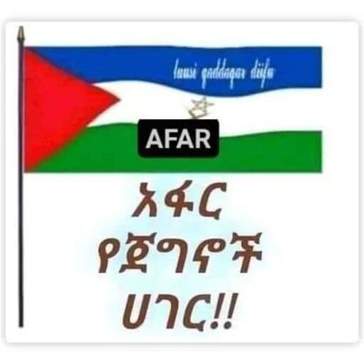 AfarInki's profile picture. አፋር  ነኝ