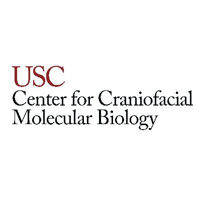 USC Center for Craniofacial Molecular Biology
🔬 Tag us with #CCMBUSC